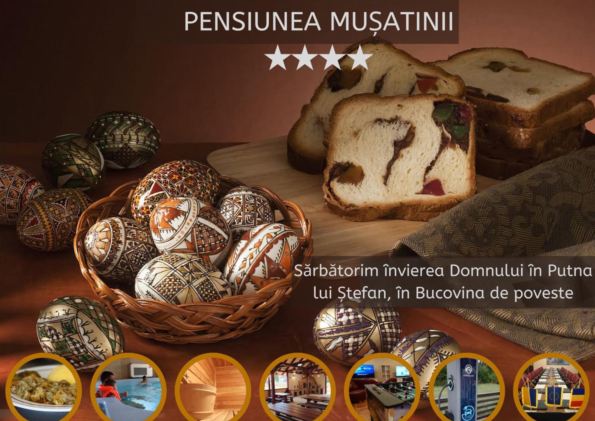 Pensiunea Musatinii プトナ エクステリア 写真